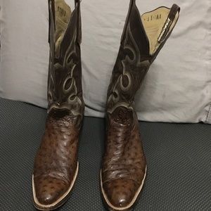 Rare Rios de Mercedes Full Quill Ostrich 11 AA